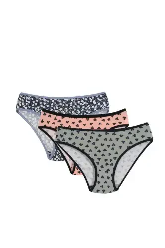 Angelino Women's 3 Pack Panties 40245 - 1