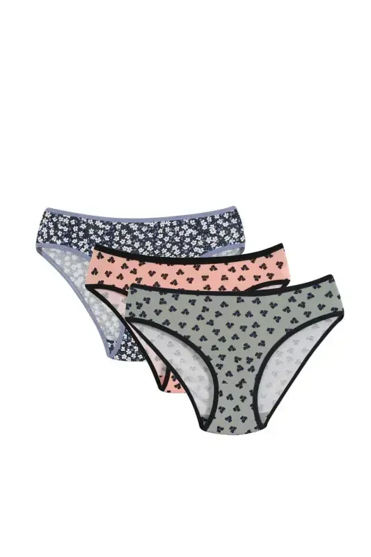 Angelino Women's 3 Pack Panties 40245 - BÜYÜKBEDENIZ