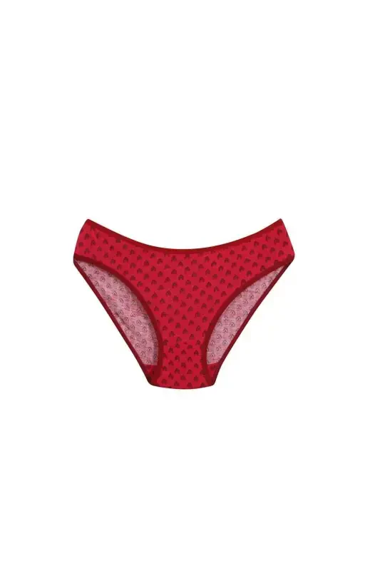 Angelino Women's 3 Pack Panties 40246 - 4
