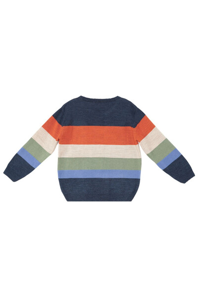 Animals Boys Sweater - 9