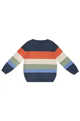 Animals Boys Sweater - 4