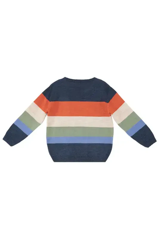 Animals Boys Sweater - 4