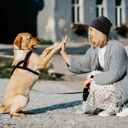 ANTI-REBOUNDUMBRE Ayollar uchun qishki shapkalar Issiq shapkalar Ayollar uchun yumshoq kabel trikotajli shapka Bosh suyagi qopqog'i - 6