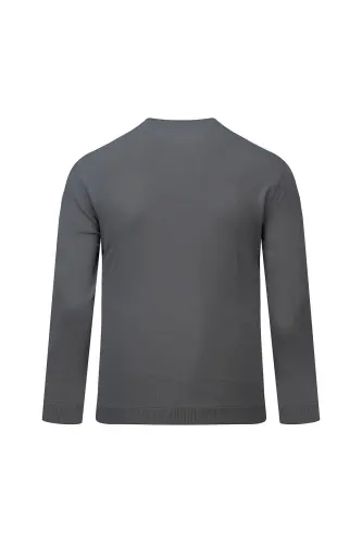 Antrasit Regular Fit Bisiklet Yaka Rayon Kazak-Antrasit - 3