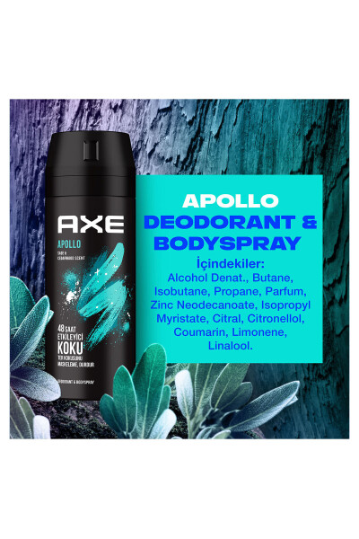 Apollo Men Spray Deodorant 48 Hours Impressive Scent Body Spray 150 ml X3 Pack - 32