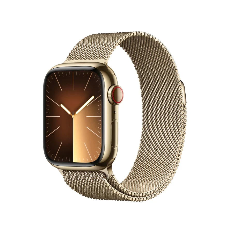Apple Watch Series 9 41mm Stainless Steel Case - 