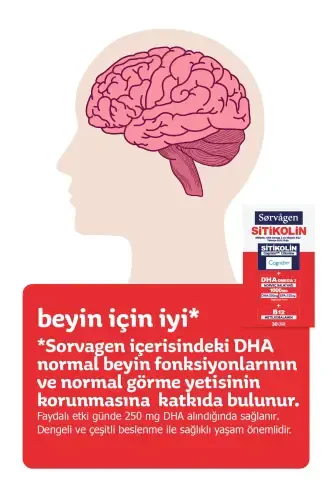 Aqlli 30 Kapsula (Sitokolin Dha Omega 3 va B12 ni o'z ichiga olgan Oziq-ovqat Qo'shimchasi) - SORVAGEN (1)