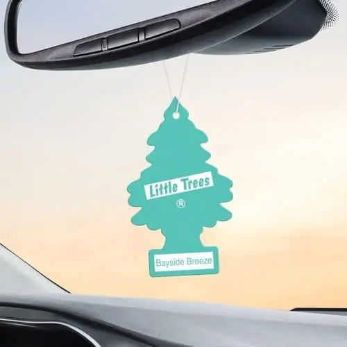 Little Trees Cardboard Hanging Car, Home & Office Air Freshener, Bayside Breeze (Pack of 6) - 4