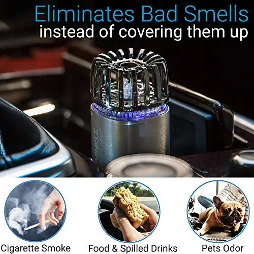 Car Air Purifier Ionizer - 12V Plug-in Ionic Anti-Microbial Car Deodorizer with Dual USB Charger - Smoke Smell, Pet and Food Odors, Allergens, Viruses Eliminator for Car (Matte Silver) - 2