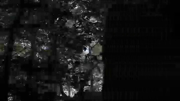 The Search - THE (1)