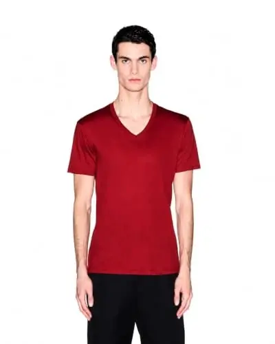 Armani Exchange Men's Pima Cotton Jersey Short Sleeve V-Neck T-Shirt - 1