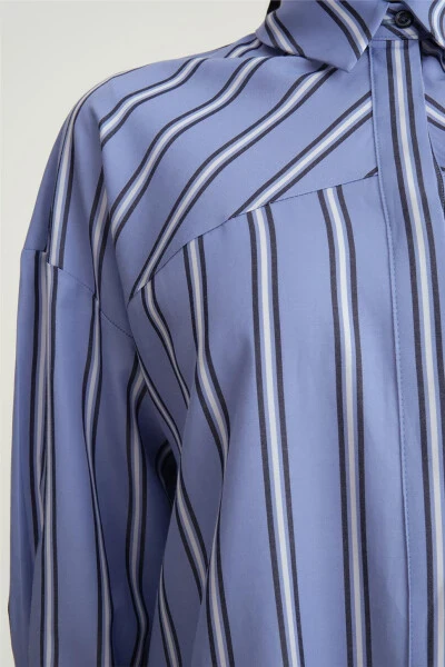 Armine Striped Oversized Shirt 24Y3505 Blue - 4