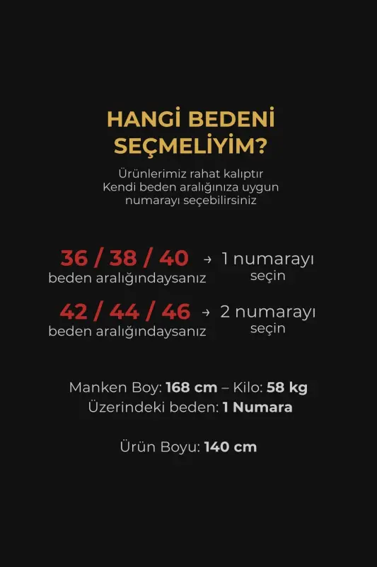 Arya Fırfırlı Elbise Ferace Siyah - 3