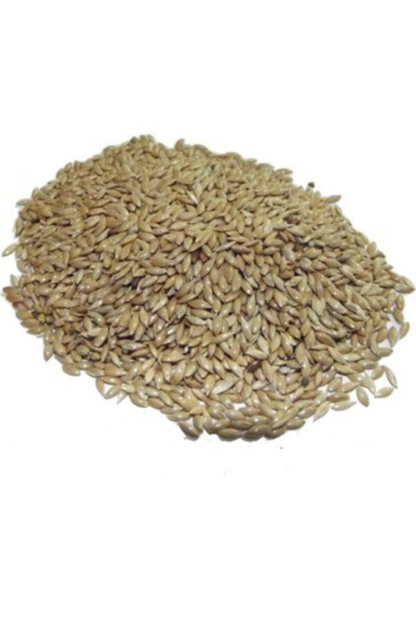 Aspur (PLAIN CANARY FOOD) - 500gr - 1