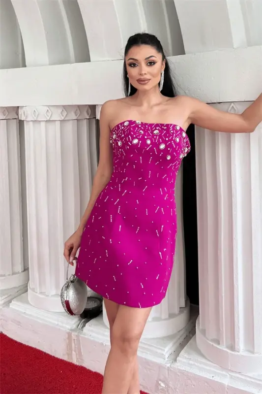 Atlas Fabric Stone Detailed Mini Dress - FUCHSIA - 2