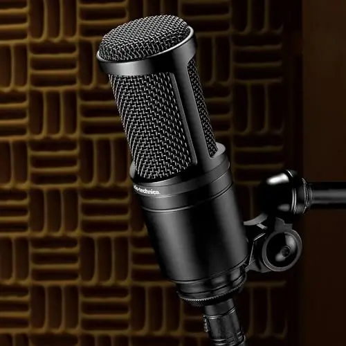 Audio-Technica AT2020 Cardioid Condenser Studio XLR Microphone, Ideal for Project/Home Studio Applications, Black - 5