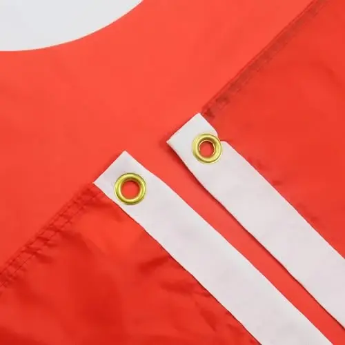 AZ FLAG - Hong Kong Flag - 2x3 Ft - 100D Polyester Hong Konger Banner with Two Metal Grommets - Fade Resistant - Vivid Colors - 2' x 3' Feet - 90x60 Cm - AZ FLAG (1)