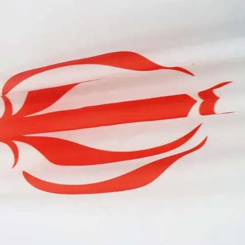 AZ BAYRAĞI - İran Bayrağı - 3x5 Ft - 100D Polyester İran - Farsça Afiş, İki Metal Halkalı - Solmaya Dayanıklı - Canlı Renkler - 3' x 5' Feet - 150x90 Cm - 3