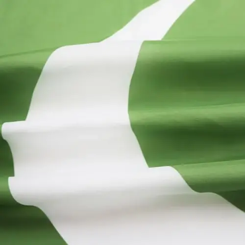 AZ BAYRAĞI - Pakistan Bayrağı - Büyük 5x8 Ft - İki Metal Halkalı 100D Polyester Pakistan Büyük Afişi - Solmaya Dayanıklı - Canlı Renkler - 5' x 8' Feet - 250x150 Cm - 3