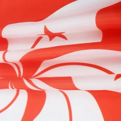 AZ FLAG - Hong Kong Bayrog'i - 2x3 Ft - 100D Polyester Gonkonglik Banneri ikkita metall grommet bilan - Rang o'chishiga chidamli - Yorqin ranglar - 2' x 3' Feet - 90x60 Sm - 3