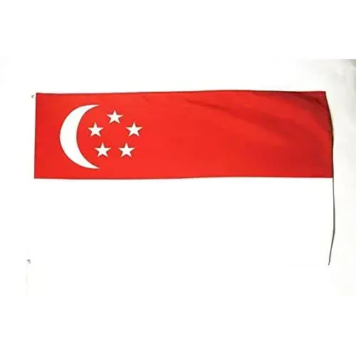 AZ FLAG - Singapore Flag - 2x3 Ft - 100D Polyester Singaporean Banner with Two Metal Grommets - Fade Resistant - Vivid Colors - 2' x 3' Feet - 90x60 Cm - 1
