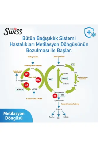 Swiss Bork B-Complex Vitamin • Aktif Form B1-B2-B3-B5-B6-B7-B9 , B12 (Methylcobalamin) • 30 Kapsül - 3