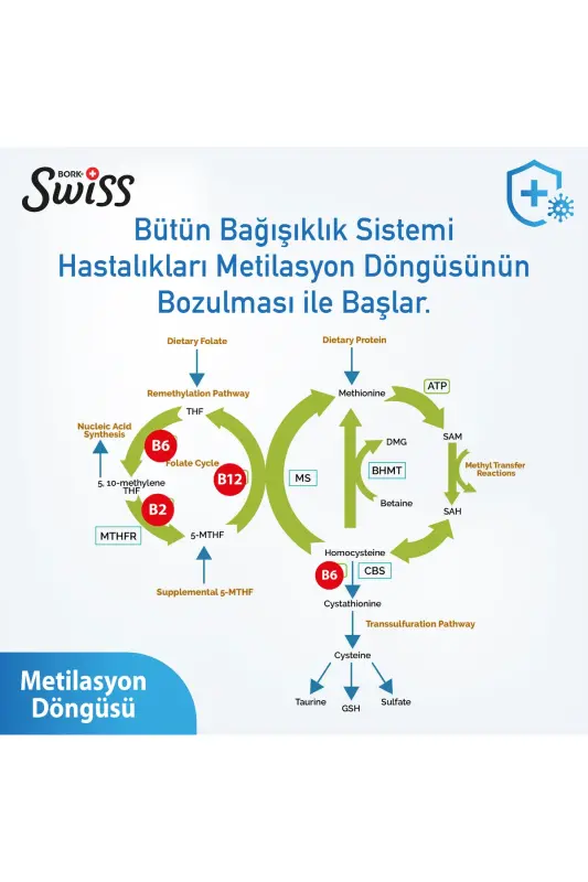 Swiss Bork B-Complex Vitamin • Aktif Form B1-B2-B3-B5-B6-B7-B9 , B12 (Methylcobalamin) • 30 Kapsül - 3