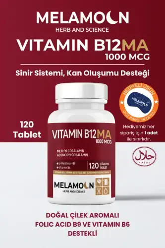 B12, B6 and Folic Acid: Nervous System, Pregnancy and Blood Formation Support 1000mcg - 5