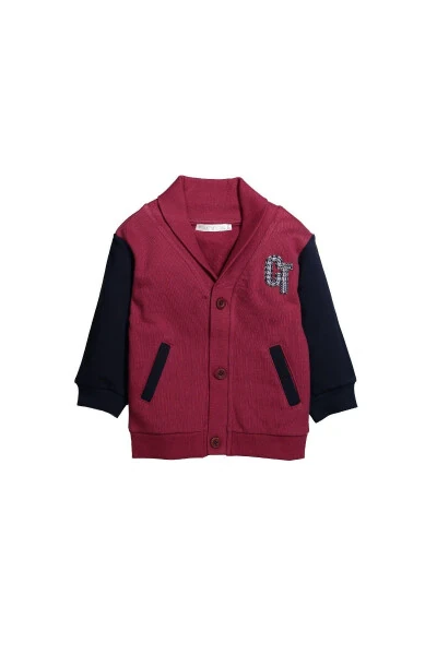 Baby Boy Applique Shawl Collar Cardigan (9 months-4 years) - GENEL MARKALAR