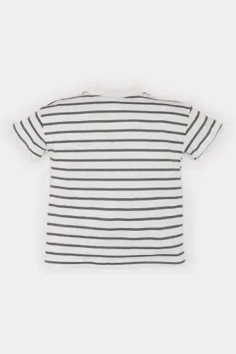 Baby Boy Bicycle Collar Striped Short Sleeve T-Shirt E6740A525SM-Ecru - 3
