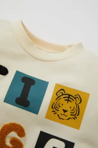 Baby Boy Bicycle Crewneck Printed Sweatshirt D2934A524WN - DEFACTO (1)