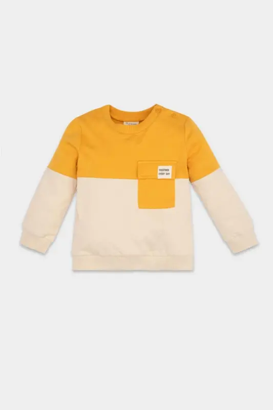 Baby Boy Crew Neck Color Block Soft Fluffy Sweatshirt A9753A524WN-Yellow - DEFACTO