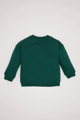 Baby Boy Crew Neck Soft Fluffy Lined Sweatshirt A7433A524WN-Green - 4