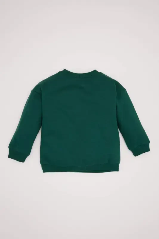Baby Boy Crew Neck Soft Fluffy Lined Sweatshirt A7433A524WN-Green - 4