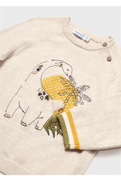 Baby Boy Dinosaur Detailed Knit Sweater - 9