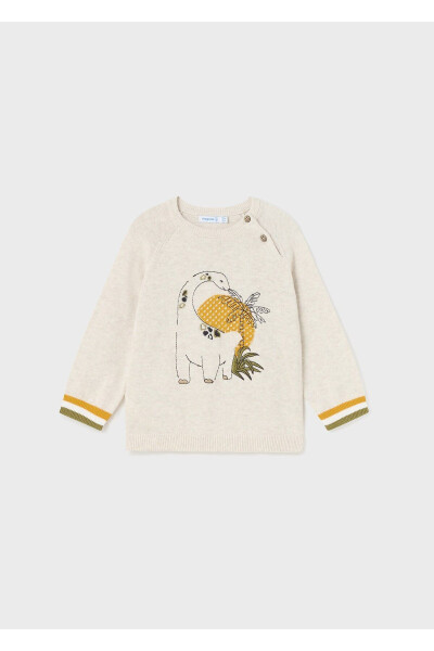 Baby Boy Dinosaur Detailed Knit Sweater - 4