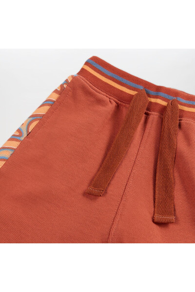 Baby Boy Elastic Waistband Terracotta Sweatpants - 7