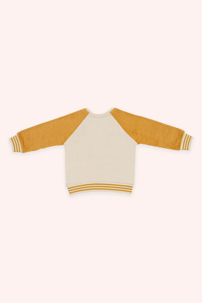 Baby Boy Embroidered Raglan Sleeve Beige Sweatshirt - PANÇO (1)