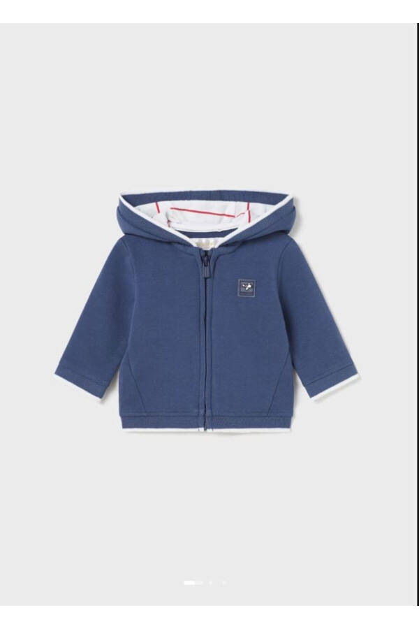 Baby Boy Hooded Sweatshirt 1403 - 7