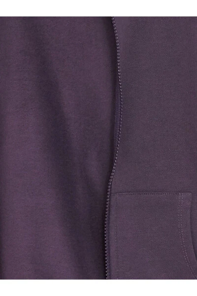 Baby boy hooded zippered sweatshirt - LC WAIKIKI (1)