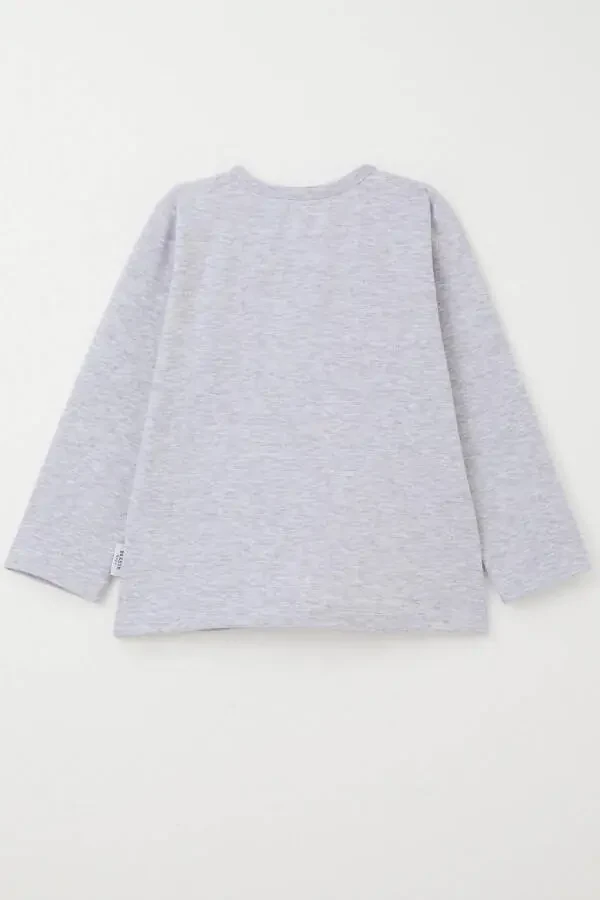 Baby Boy Long Sleeve T-Shirt Basic 9 Months-3 Years, Light - 2