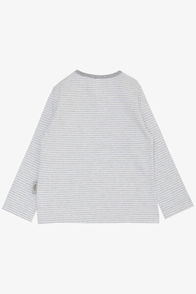 Baby Boy Long Sleeve T-Shirt Buttoned Striped 9 Months-3 Years, Light Grey Melange - 2