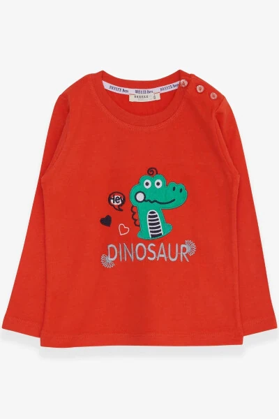 Baby Boy Long Sleeve T-Shirt Dinosaur Embroidered 9 Months - Modazone