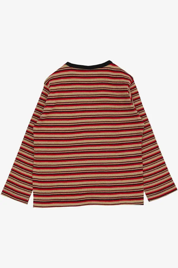 Baby Boy Long Sleeve T-Shirt Snap Fastener Striped 9 Months-3 - 2