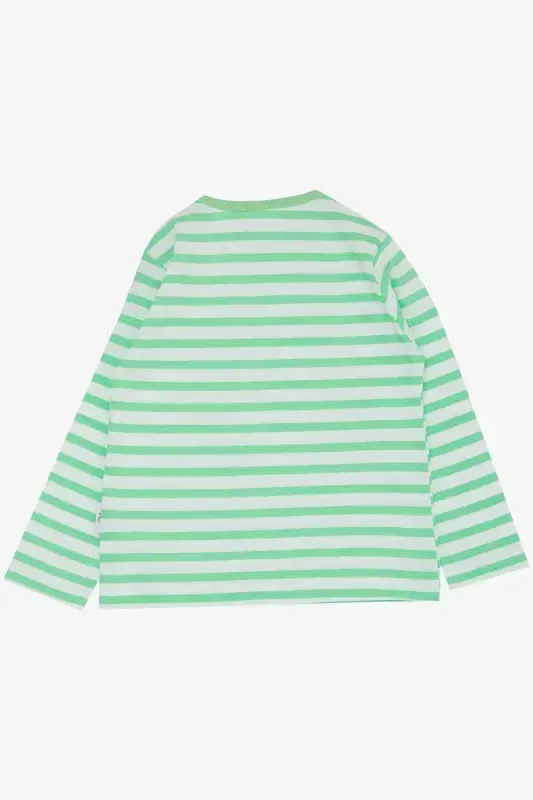 Baby Boy Long Sleeve T-Shirt Snap Striped 9 Months-3 Years, Pistachio Green-Pistachio Green - 2