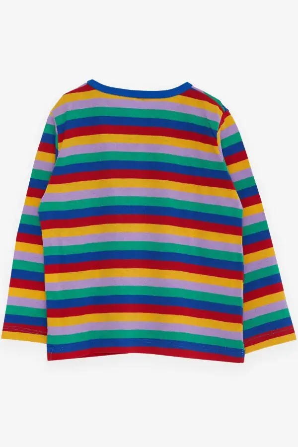Baby Boy Long Sleeve T-Shirt Striped 9 Months-3 Years, - 2