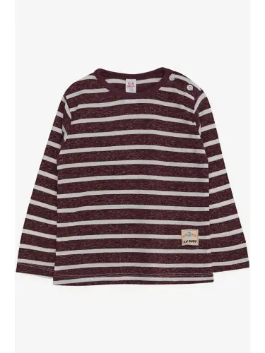 Baby Boy Long Sleeve T-Shirt Striped Plum (9 Months-1.5 Years)-Plum - 1