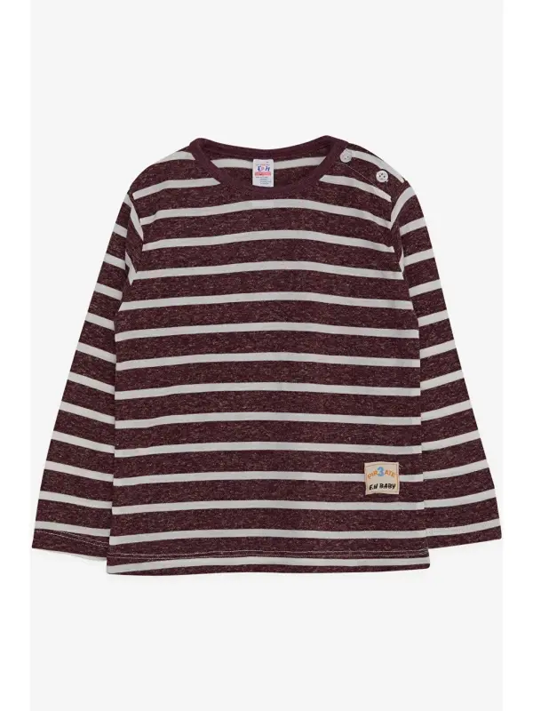 Baby Boy Long Sleeve T-Shirt Striped Plum (9 Months-1.5 Years)-Plum - 1