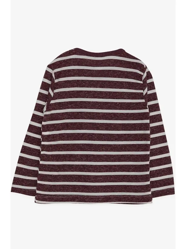 Baby Boy Long Sleeve T-Shirt Striped Plum (9 Months-1.5 Years)-Plum - 2