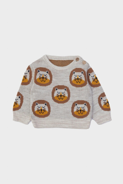 Baby Boy Patterned Sweater 23FW0LT8405 - LAYETTE